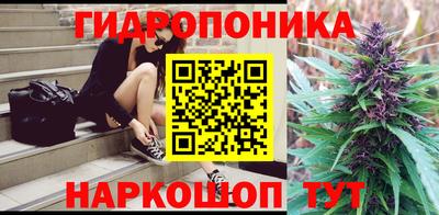 дурь Кимры